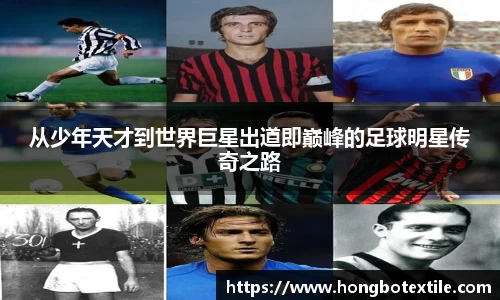 lehu乐虎国际官方网站